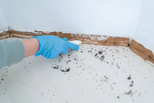 Best Pest Prevention Services  in St Helen, MI